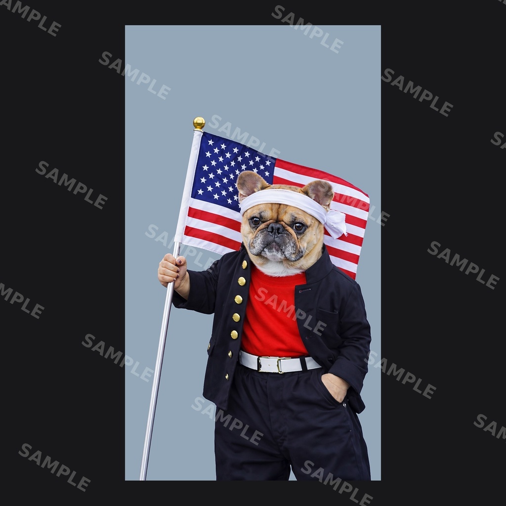 【高画質スマホ壁紙】ヤンキーフレンチブルドッグ ポーズセット|3バリエーション × 4サイズ(iPhone・Android対応)