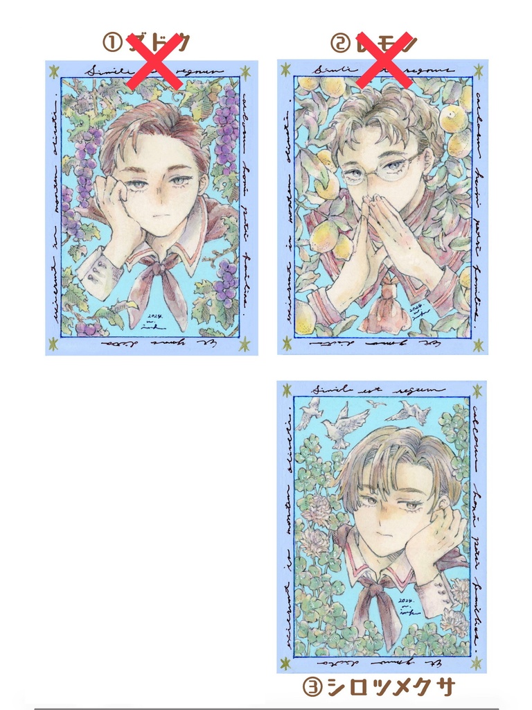 ATC原画┊ シロツメクサ