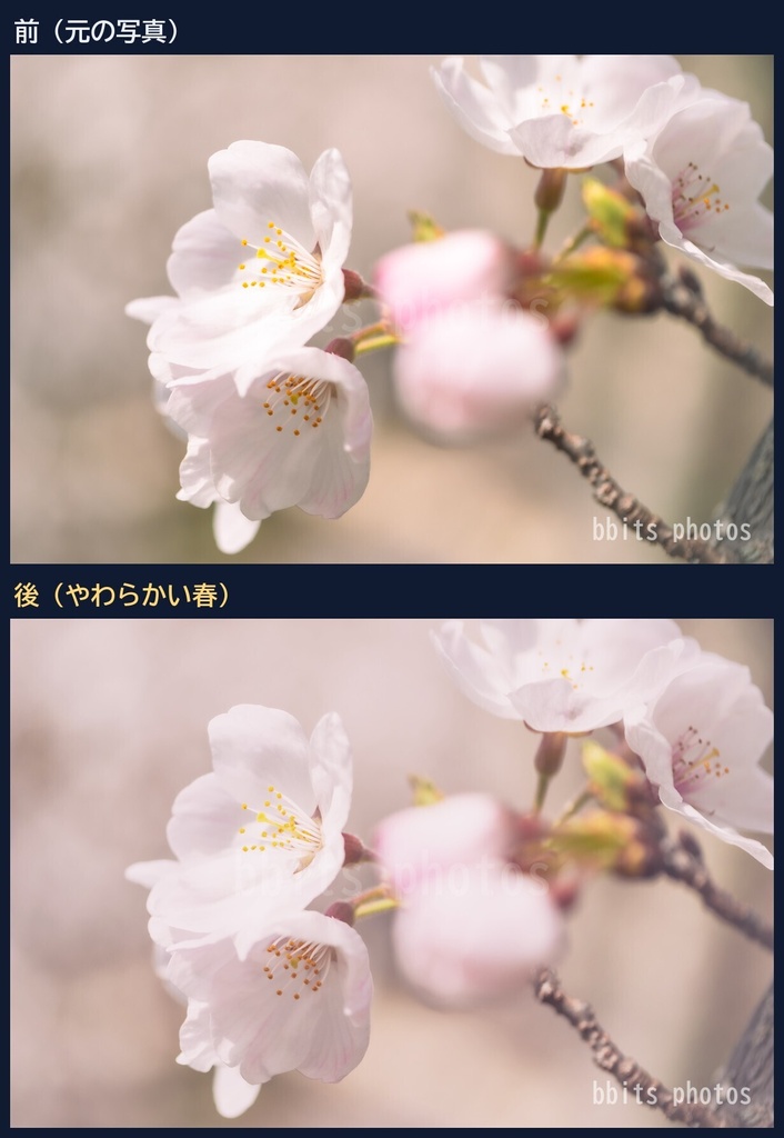 清水の色 現像レシピ3種|LUT(.cube)+Lightroomプリセット