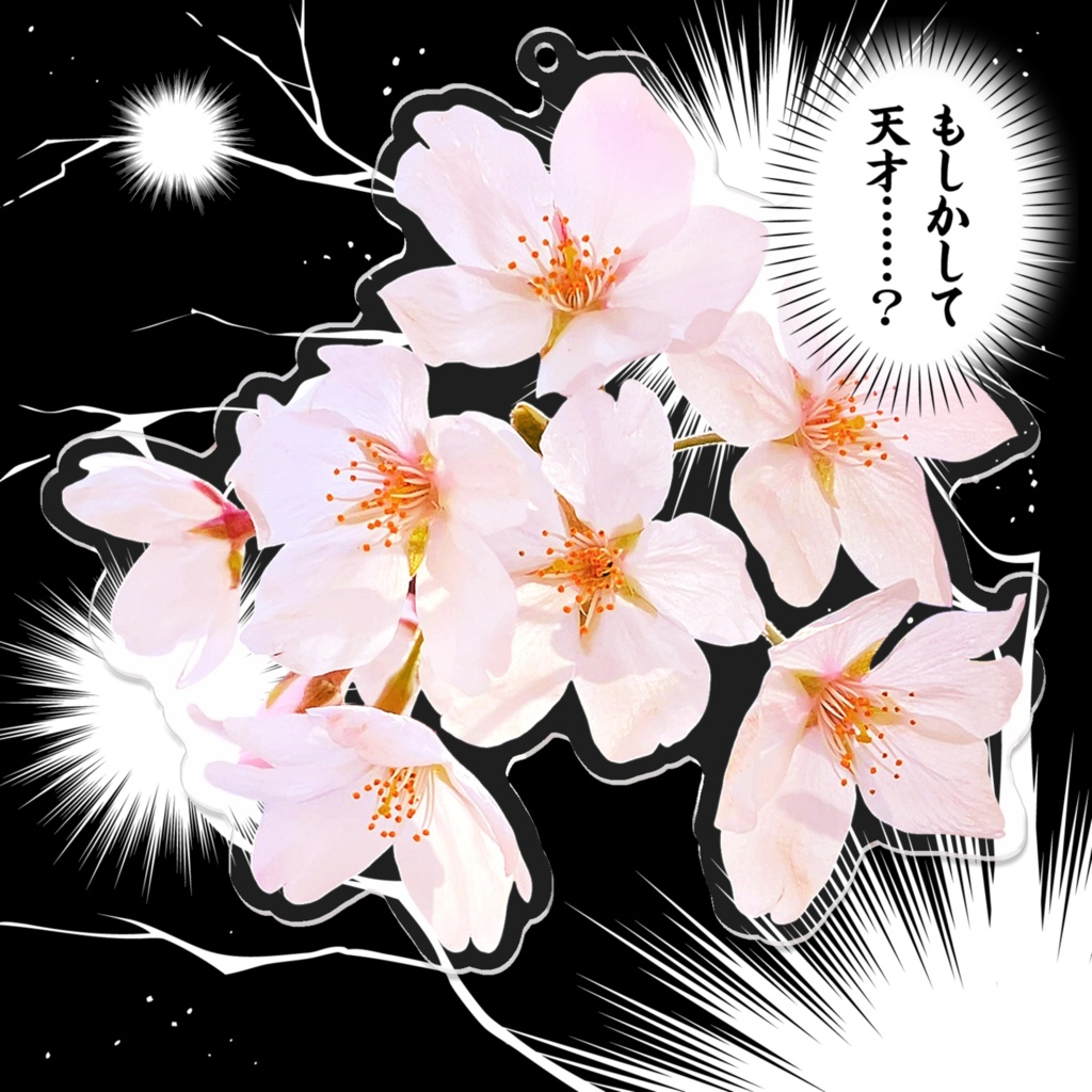 【実写】しゃくら