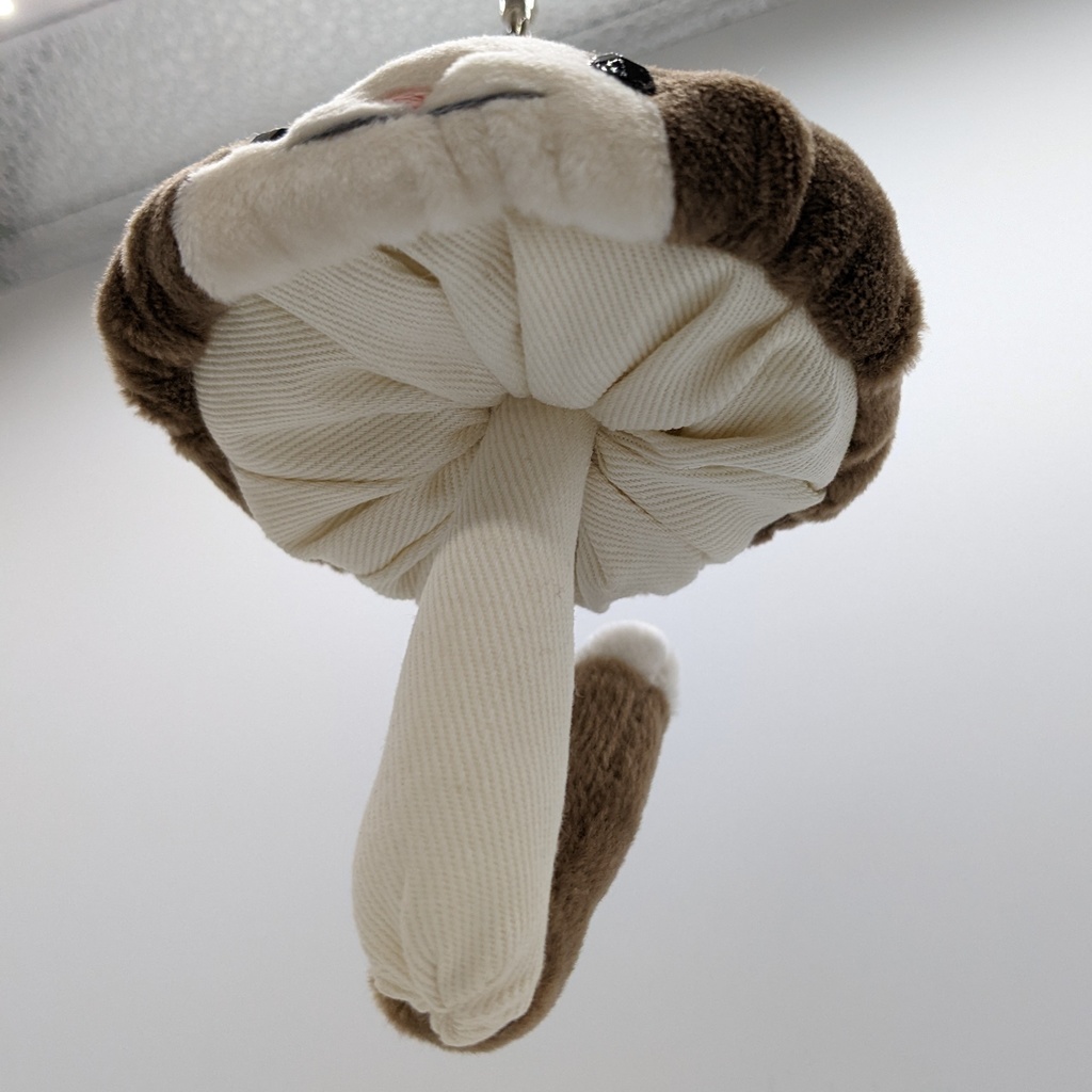 動物キノコキーホルダー【ハチワレねこ・ネイビー、グレー、チョコ】