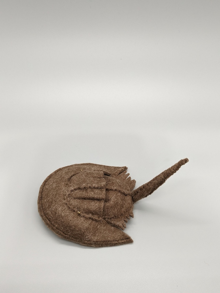 やわらかなカブトガニ  ブローチとキーホルダー