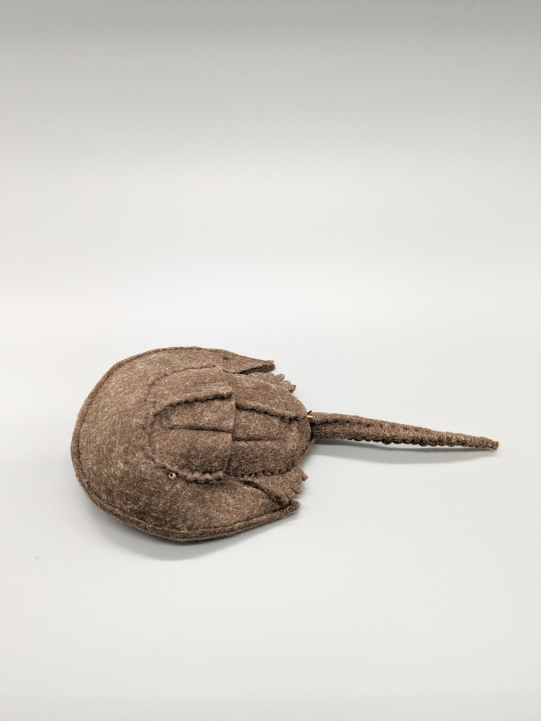 やわらかなカブトガニ  ブローチとキーホルダー