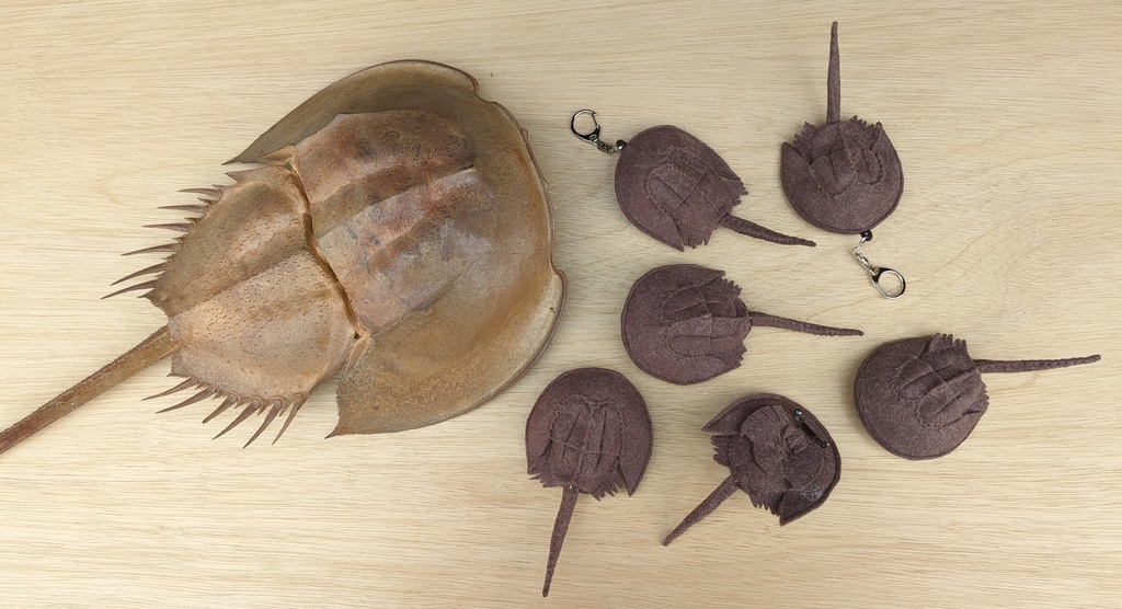 やわらかなカブトガニ  ブローチとキーホルダー