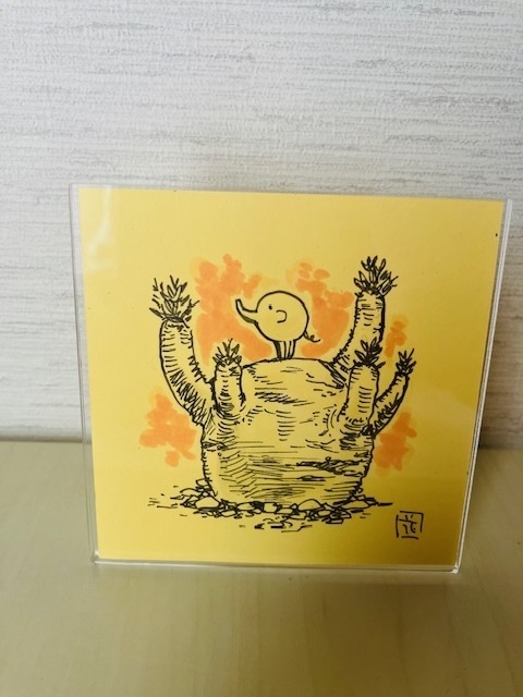 塊根植物とまるふぁんと~アクリル額入り