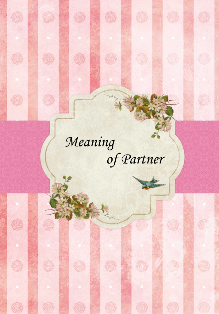 Meaning of Partner
