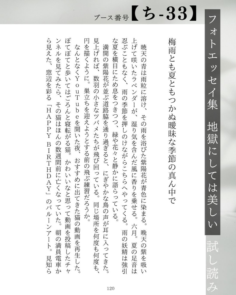 フォトエッセイ集 地獄にしては美しい