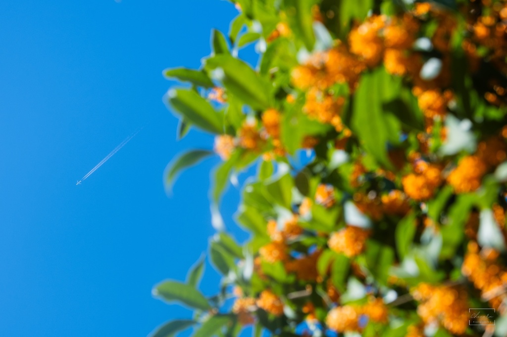 フォトエッセイ集 地獄にしては美しい+ポストカード5種セット