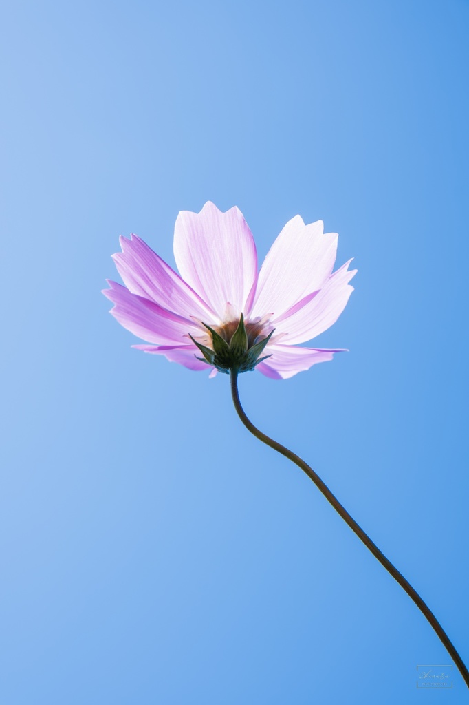 フォトエッセイ集 地獄にしては美しい+ポストカード5種セット