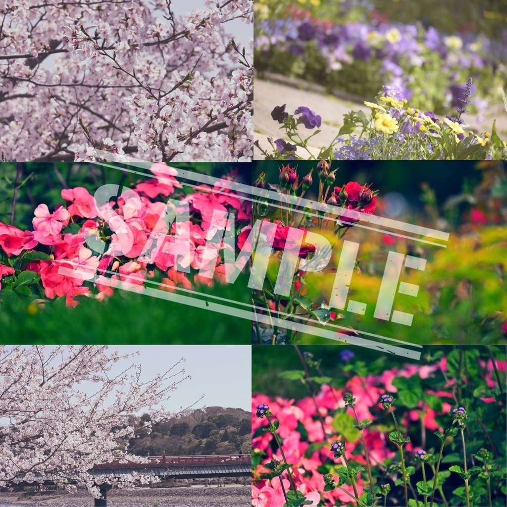 【写真素材】お花・桜の背景素材集【TRPG・ゲーム制作】