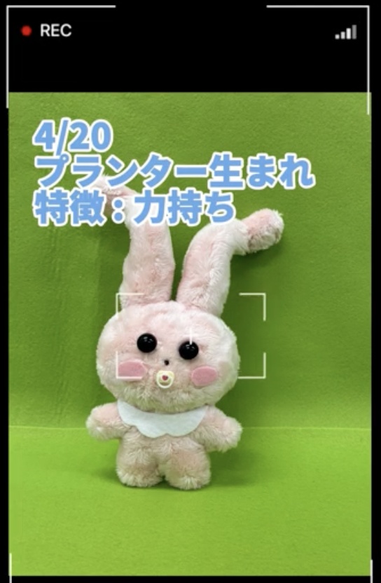 太ももうさぎのべびぬいぐるみNo.3