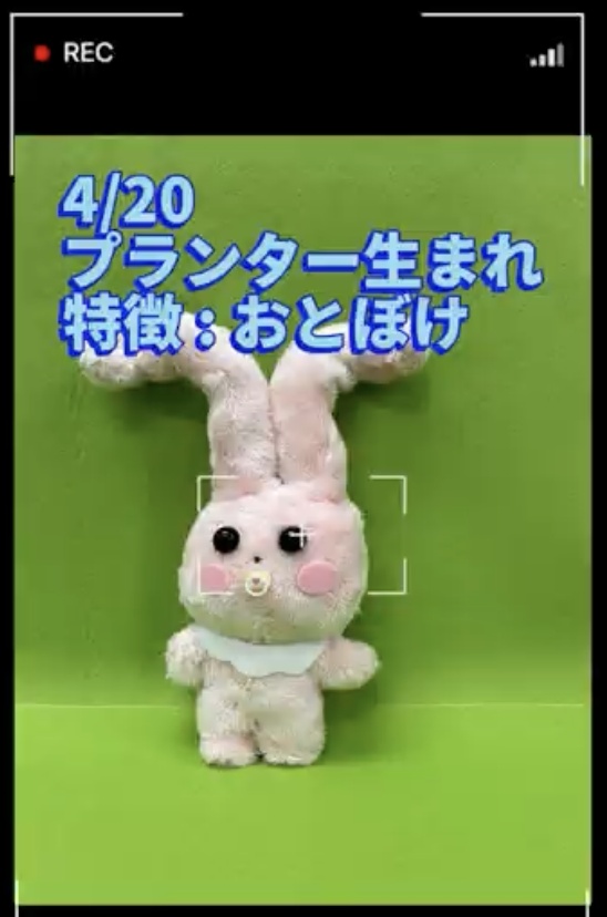 太ももうさぎのべびぬいぐるみNo.4