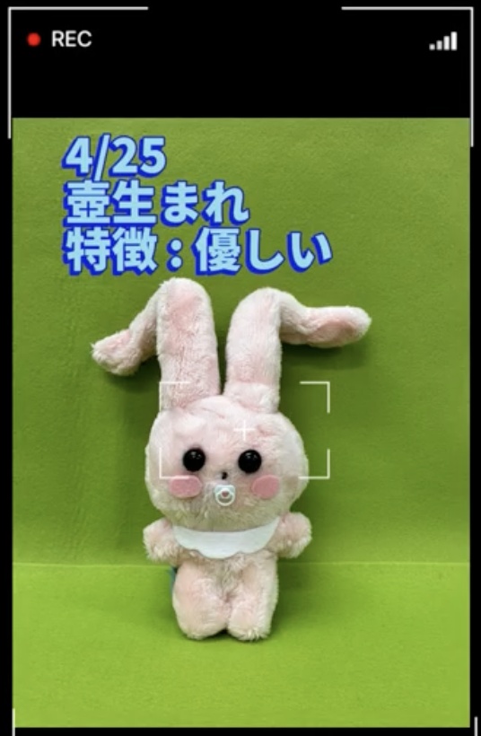 太ももうさぎのべびぬいぐるみNo.6