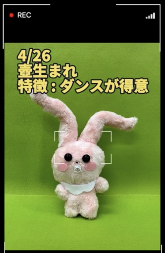 太ももうさぎのべびぬいぐるみNo.7