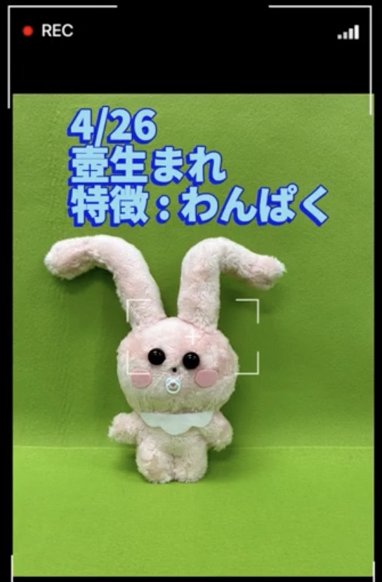 太ももうさぎのべびぬいぐるみNo.9