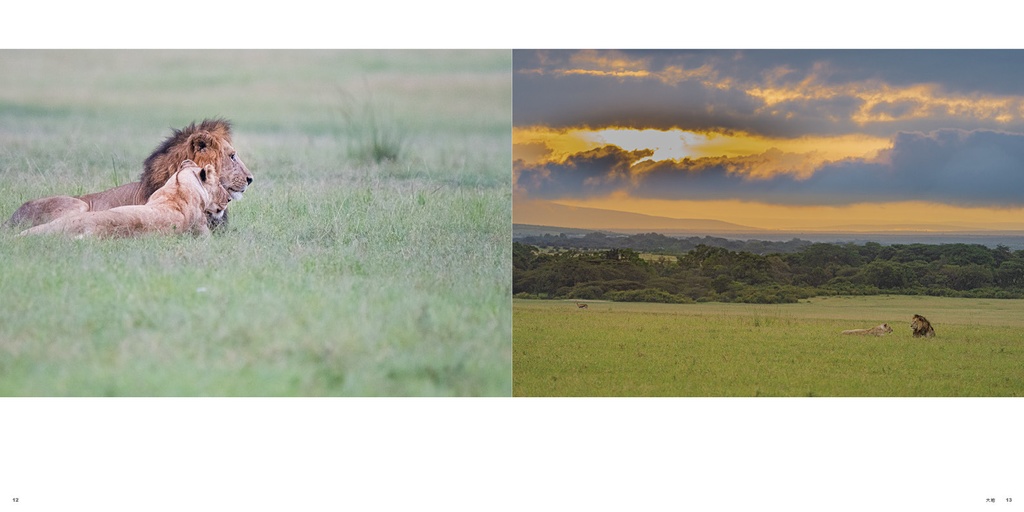 ほんものサバンナずかん