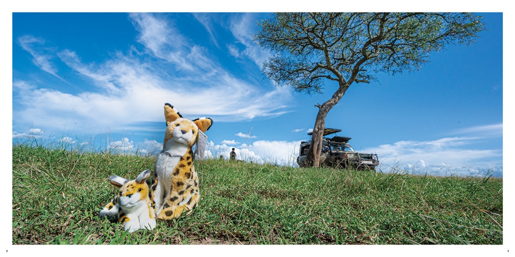 ほんものサバンナずかん