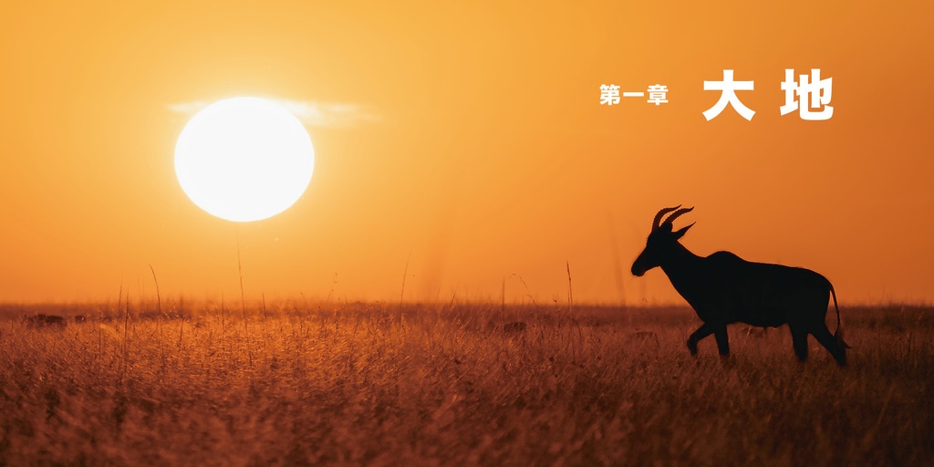 ほんものサバンナずかん