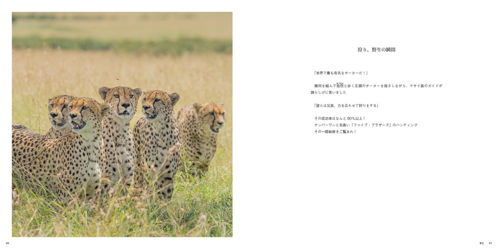 ほんものサバンナずかん