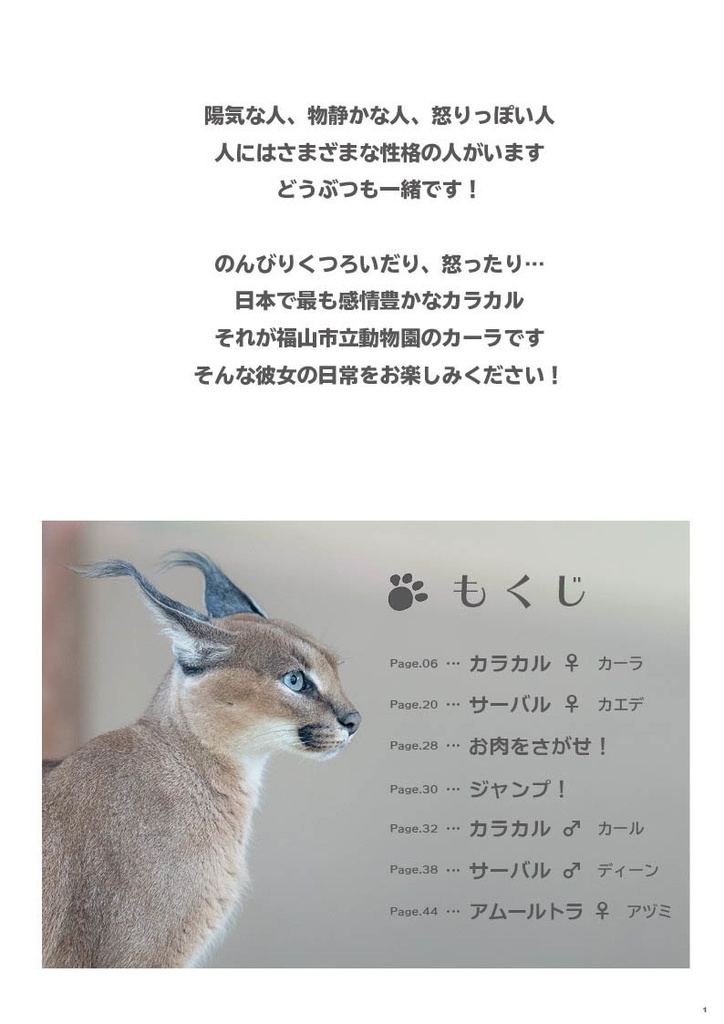 福山市立動物園のカラカルじゃけ!