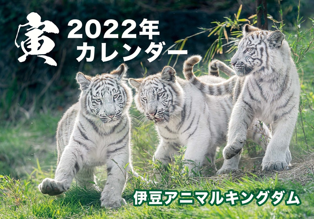 22年 寅年 カレンダー 伊豆アニマルキングダム ホワイトタイガー 房総旅団 Booth支部 Booth