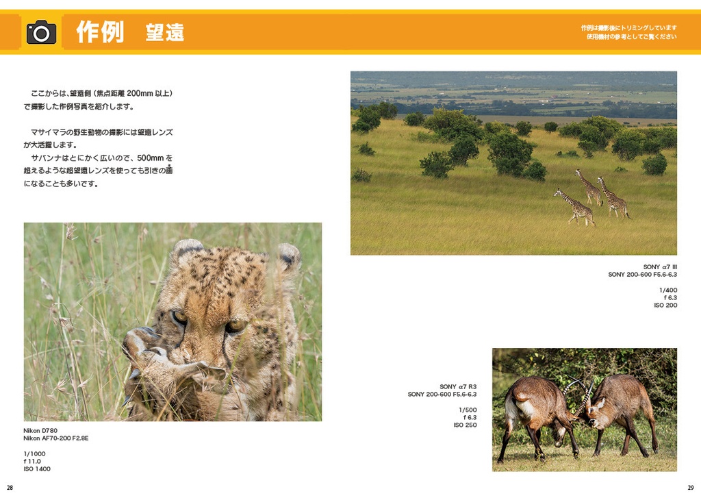 ほんものサバンナがいどぶっく