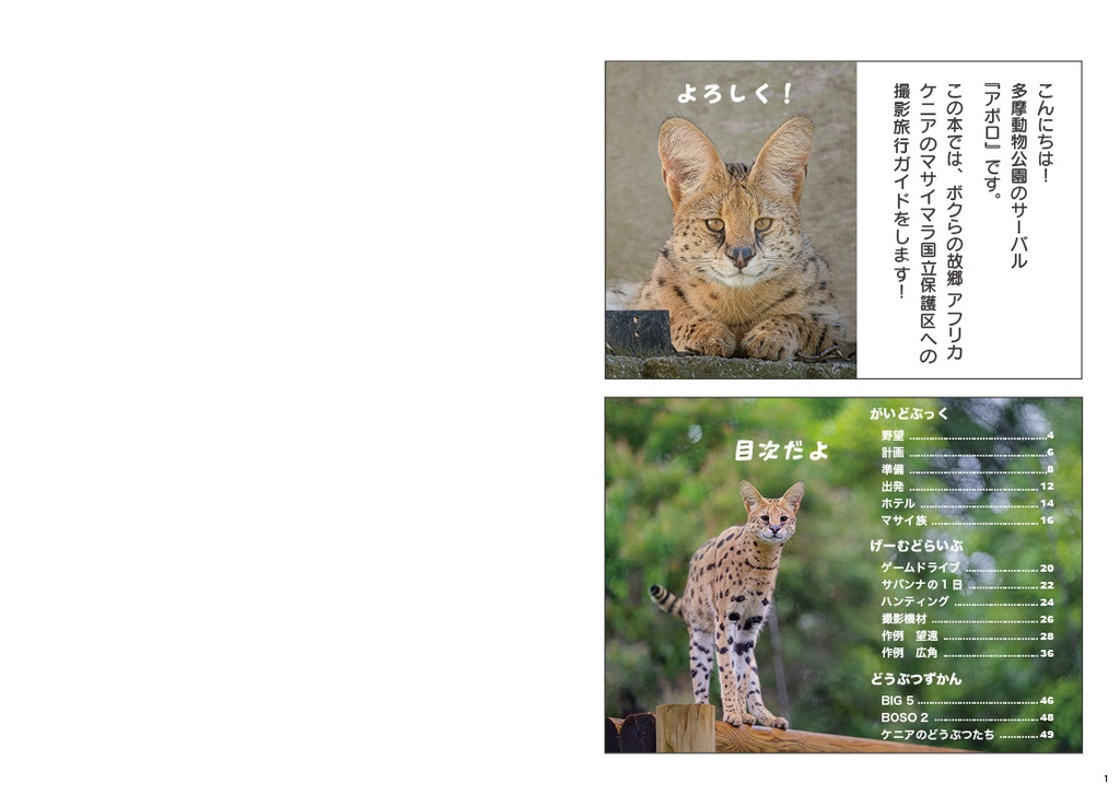 ほんものサバンナがいどぶっく