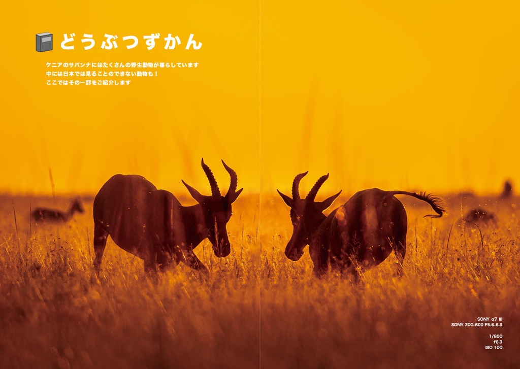 ほんものサバンナがいどぶっく