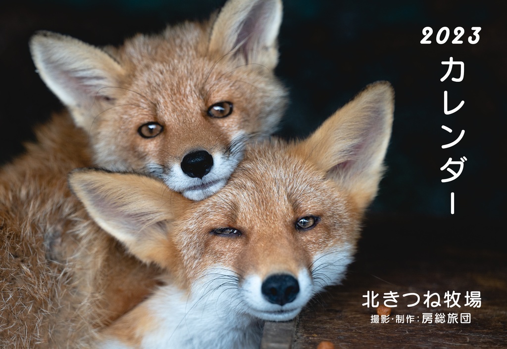 卓上カレンダー2023年　北きつね牧場　ポストカードサイズ　13枚