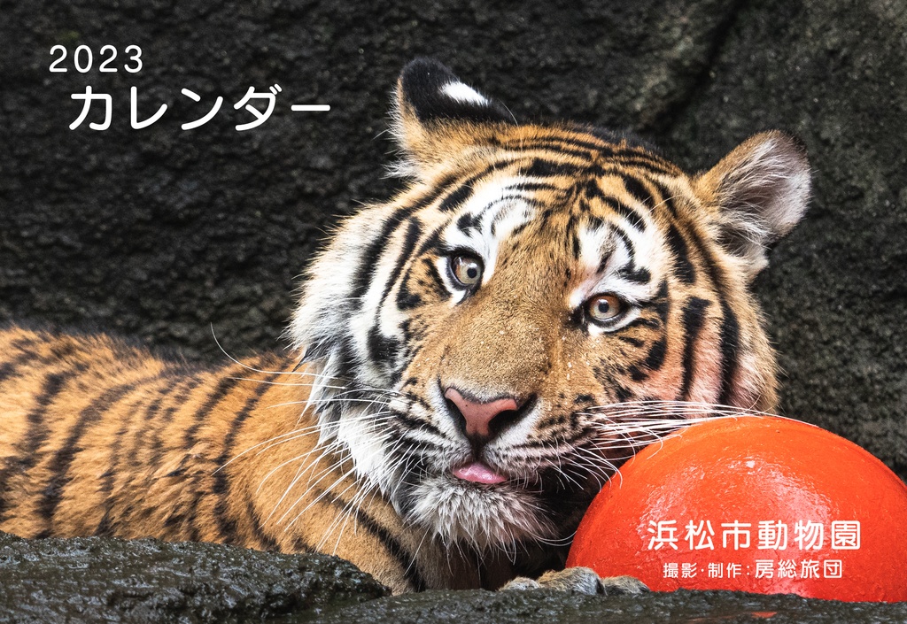  卓上カレンダー2023年　浜松市動物園　ポストカードサイズ　13枚