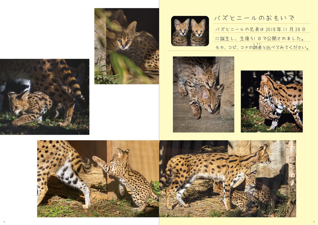 まいにちサーバル