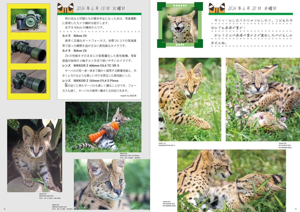 まいにちサーバル2024