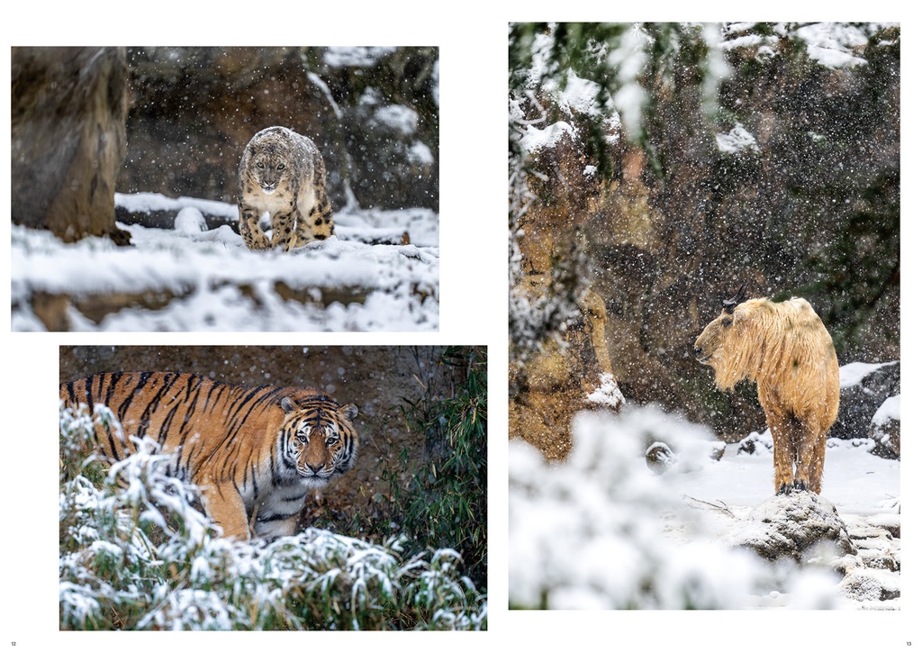 多摩動物公園のおもいで2024