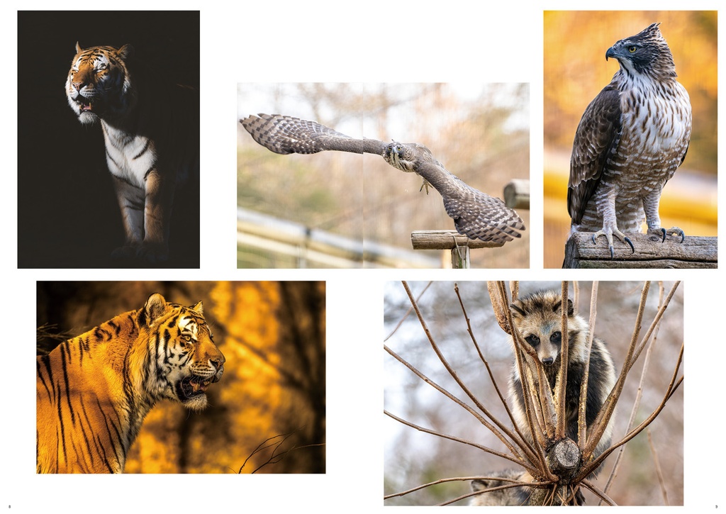 多摩動物公園のおもいで2024