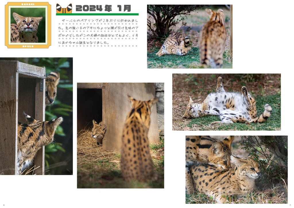 多摩動物公園のおもいで2024