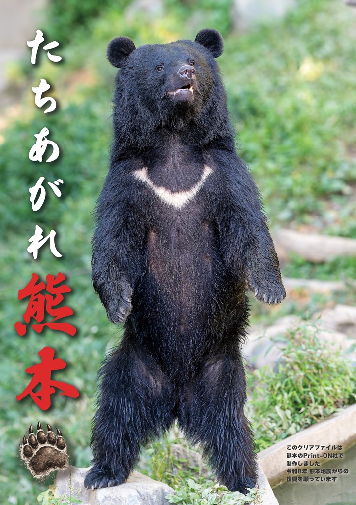 A4クリアファイル ピューマ五連星だべ