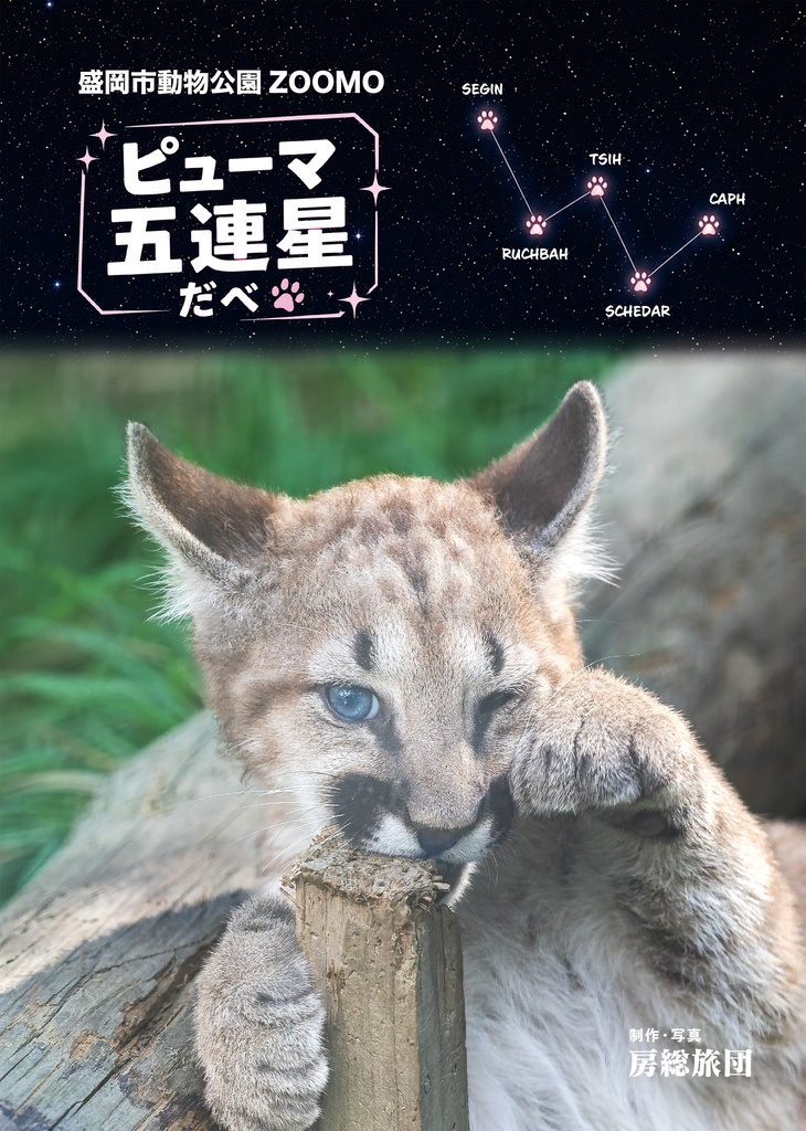 A4クリアファイル ピューマ五連星だべ