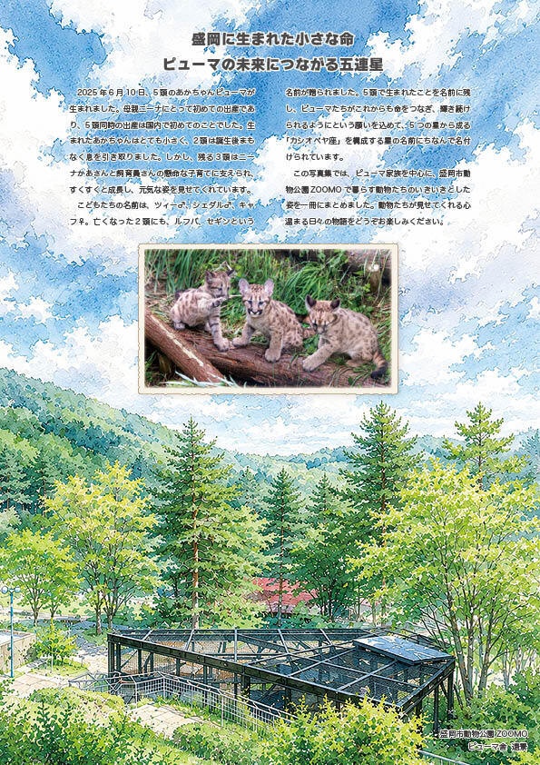 どうぶつ写真集 ピューマ五連星だべ