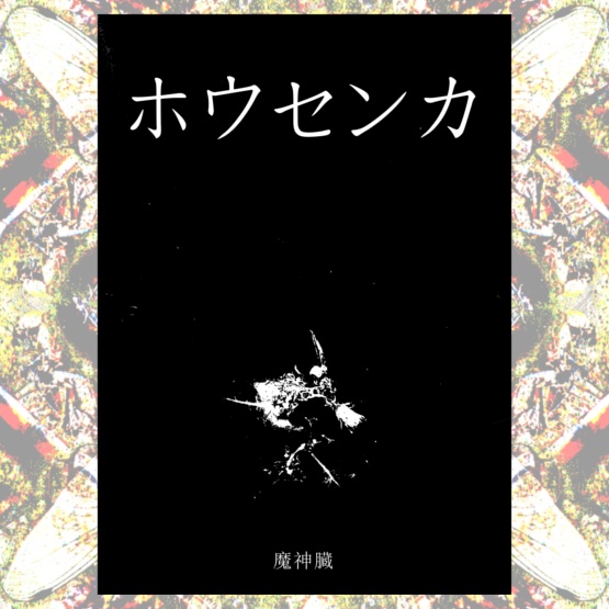 写真詩集　ホウセンカ