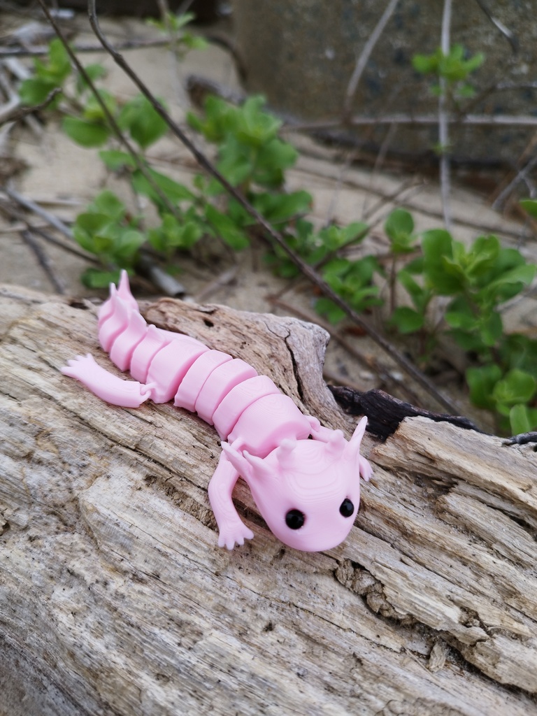 くねくねうぱぱ ウーパールーパー 3Dプリンター雑貨