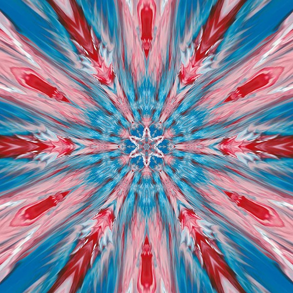 太陽 003 白Tシャツ