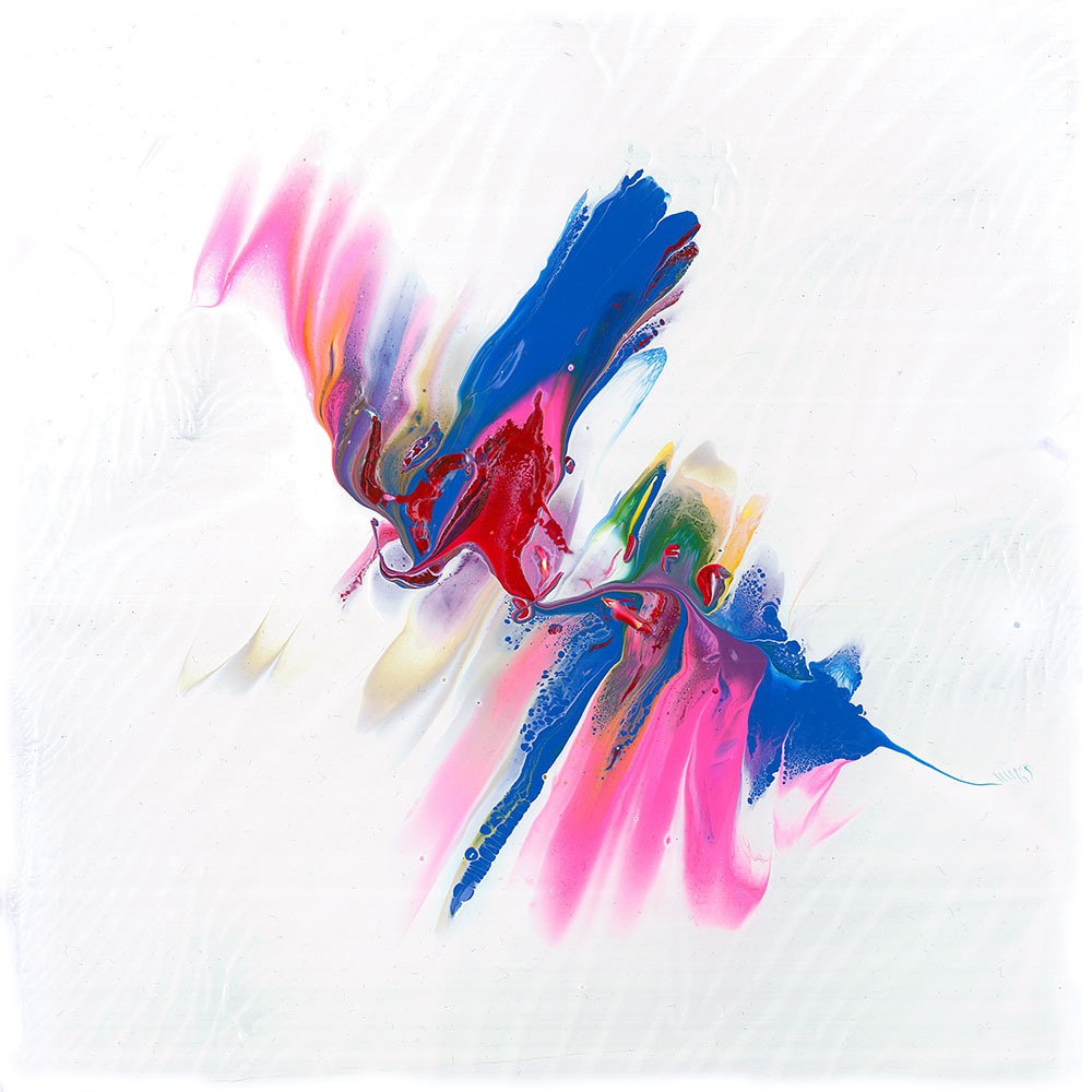 羽根模様 001 白Tシャツ