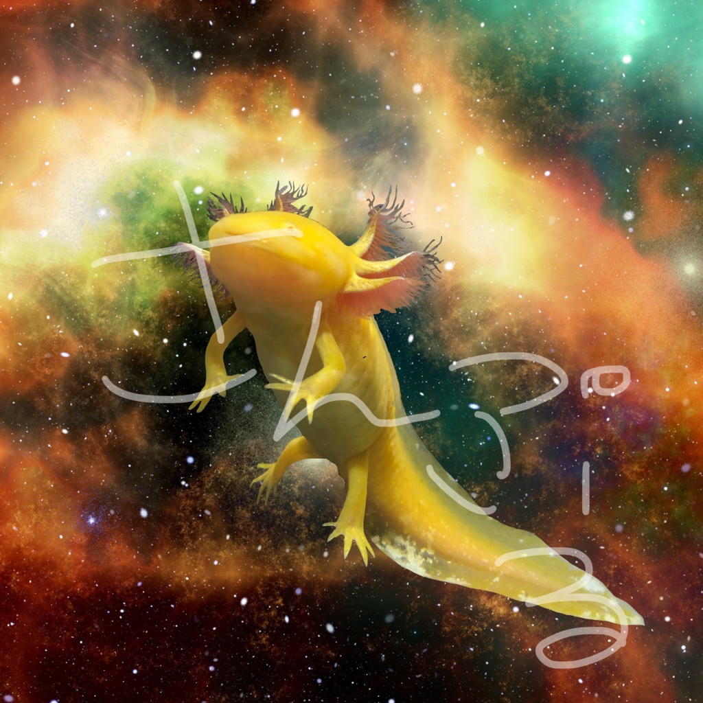 スペースサラマンダー Tシャツ