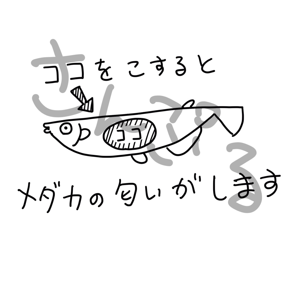 メダカの匂いがするTシャツ