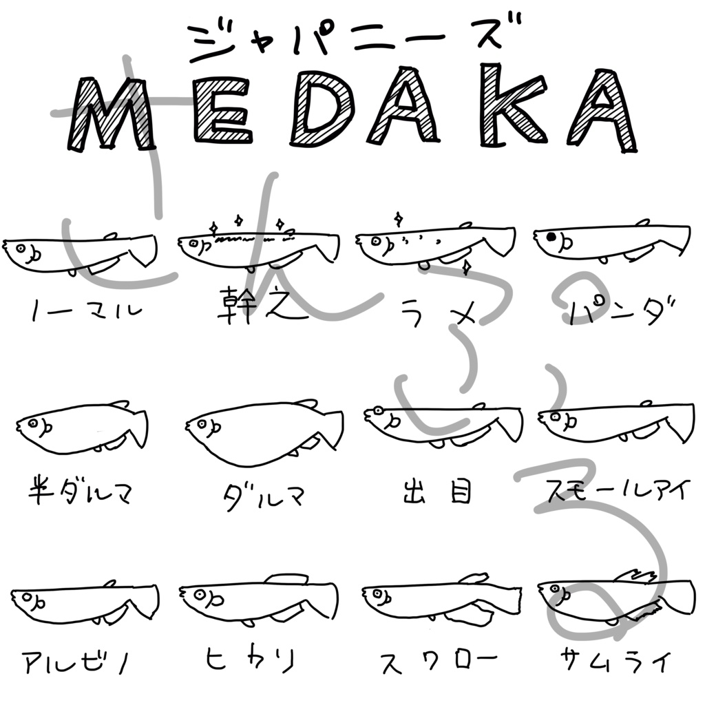 メダカがいっぱいTシャツ