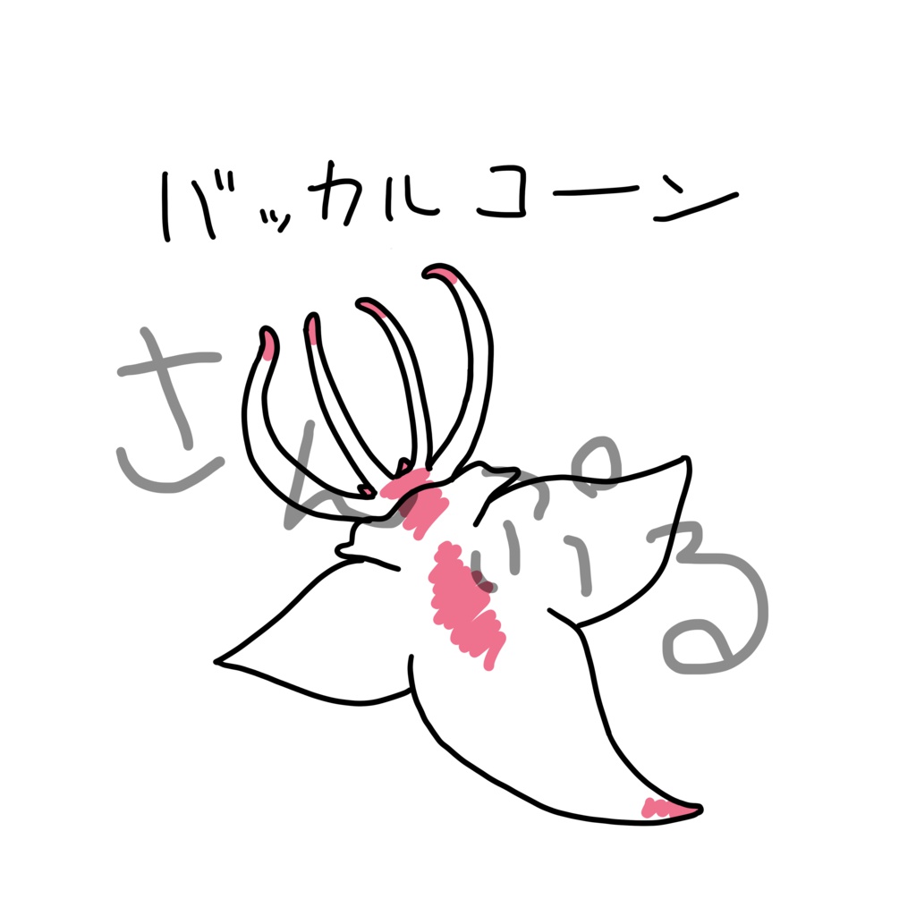 カメガイ Tシャツ