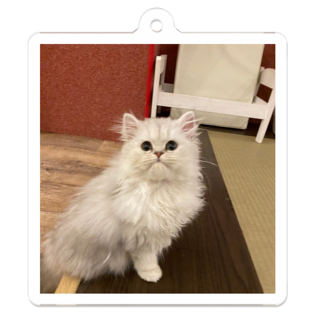 猫のキーホルダー