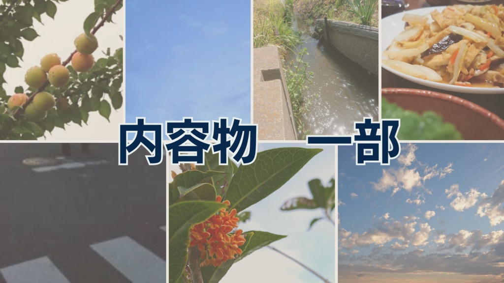 【無料素材】風景(空メイン)、植物の写真素材