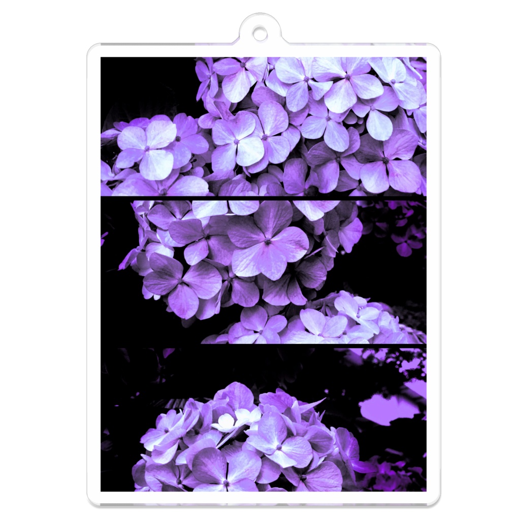四葩 - 清澄の紫