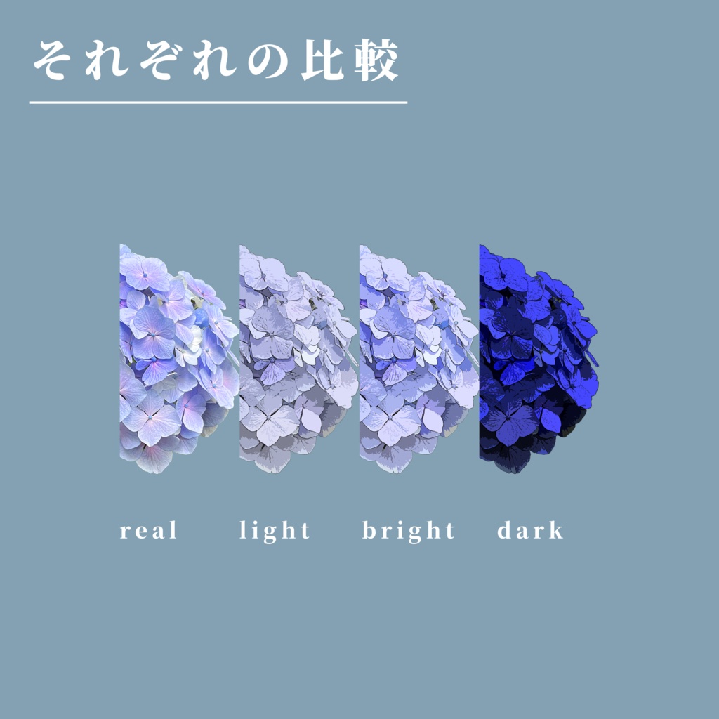 【無料/有料】紫陽花01_カラーセット【TRPG素材】